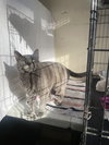 Lil Girl - Photo 10