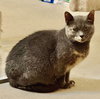 Lil Girl - Photo 9