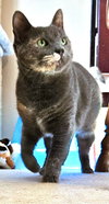 Lil Girl - Photo 1