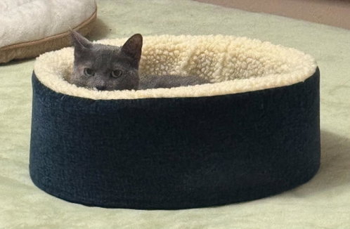 Photo 2 of Lil Girl