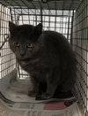 Pawla - Photo 9