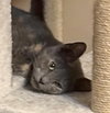 Pawla - Photo 2