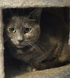 Pawla - Photo 7