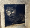 Pawla - Photo 8