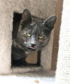 Pawla - Photo 4
