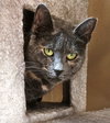 Pawla - Photo 5