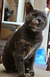 Pawla - Photo 3