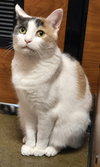 Lulu - Photo 2
