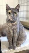 Jerome (female) - Photo 1