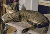 Vance - Photo 1