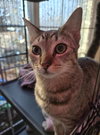 Fiona (and Gertrude) - Photo 5