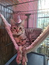 Fiona (and Gertrude) - Photo 1