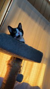 Marie - Photo 3