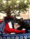 Luka - Photo 2