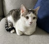 Little - Photo 6