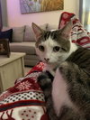 Little - Photo 5