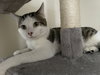 Little - Photo 3