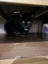 Mayflower - Photo 5