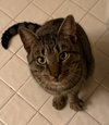 Biscuits A - Photo 3