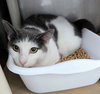 Lloyd (female) - Photo 2
