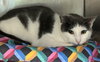 Lloyd (female) - Photo 1