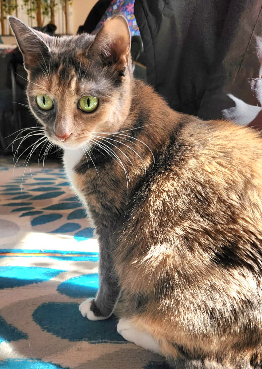 Nina