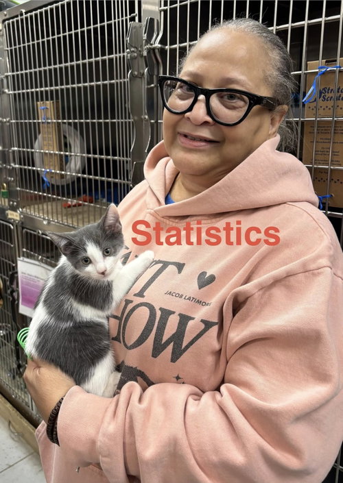 Statistics