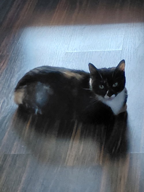 Momma photo 2