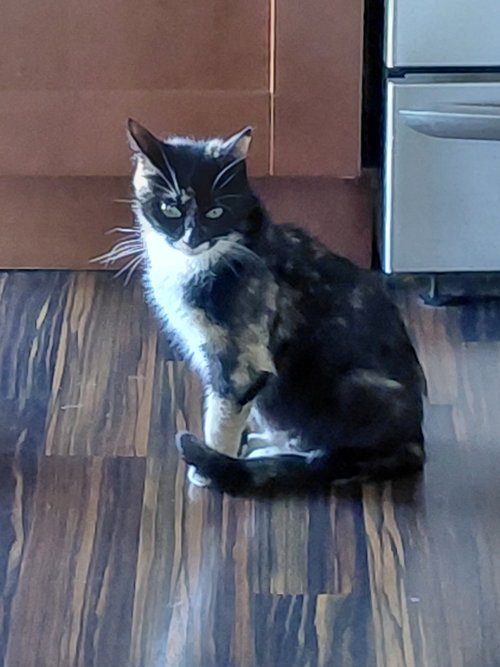 Momma photo 3