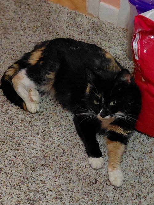 Momma photo 4