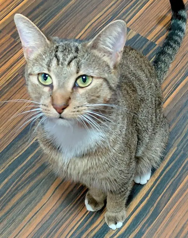 Olive G image 2