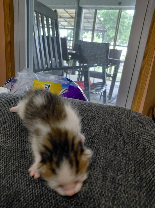 Photo 2 of Lily G.