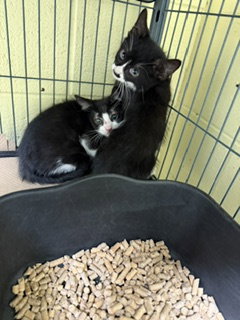 Photo 6 of Nelly