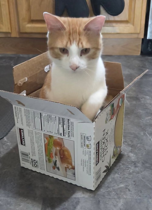 Ali
