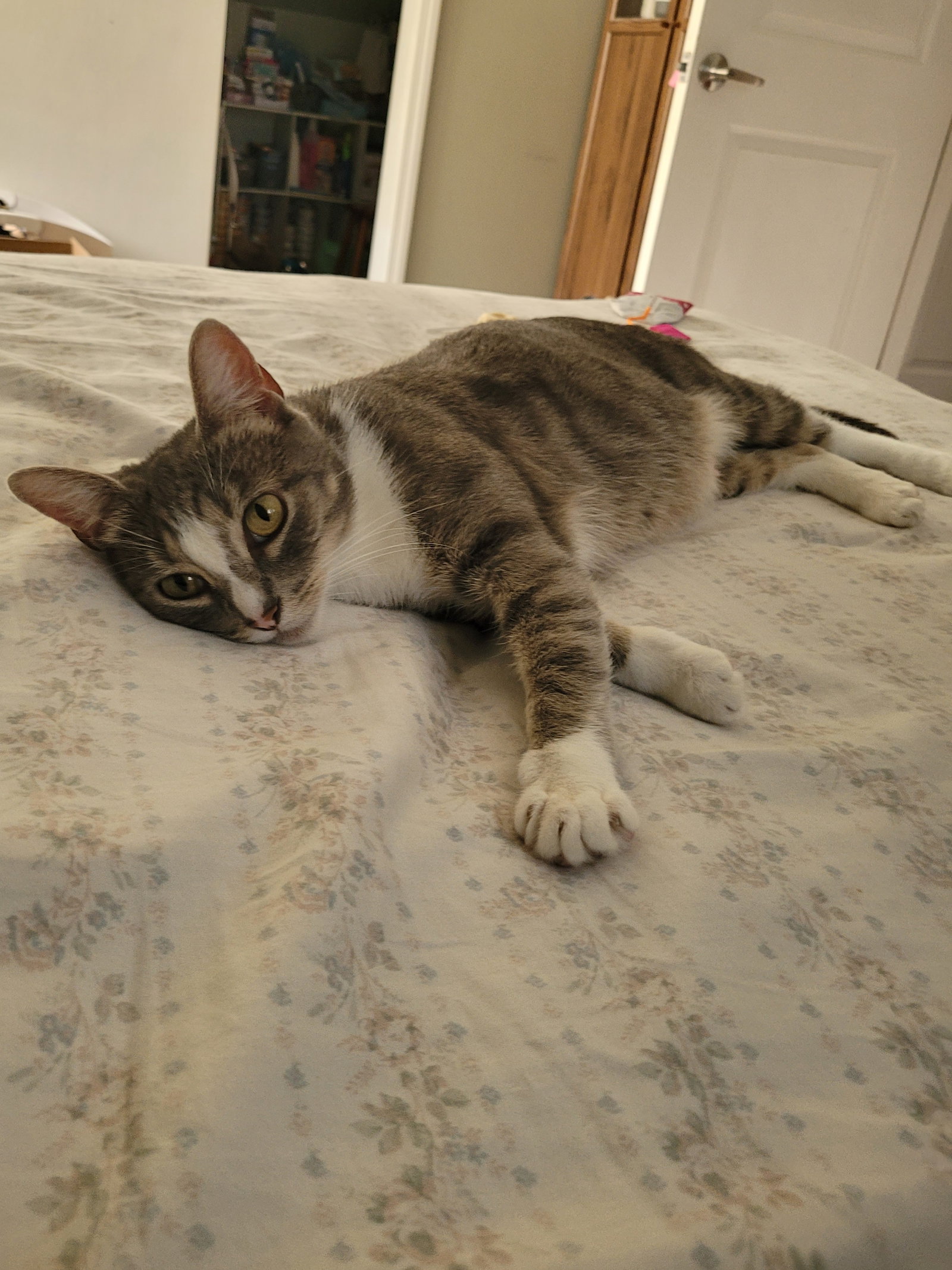 Biya, photo 6