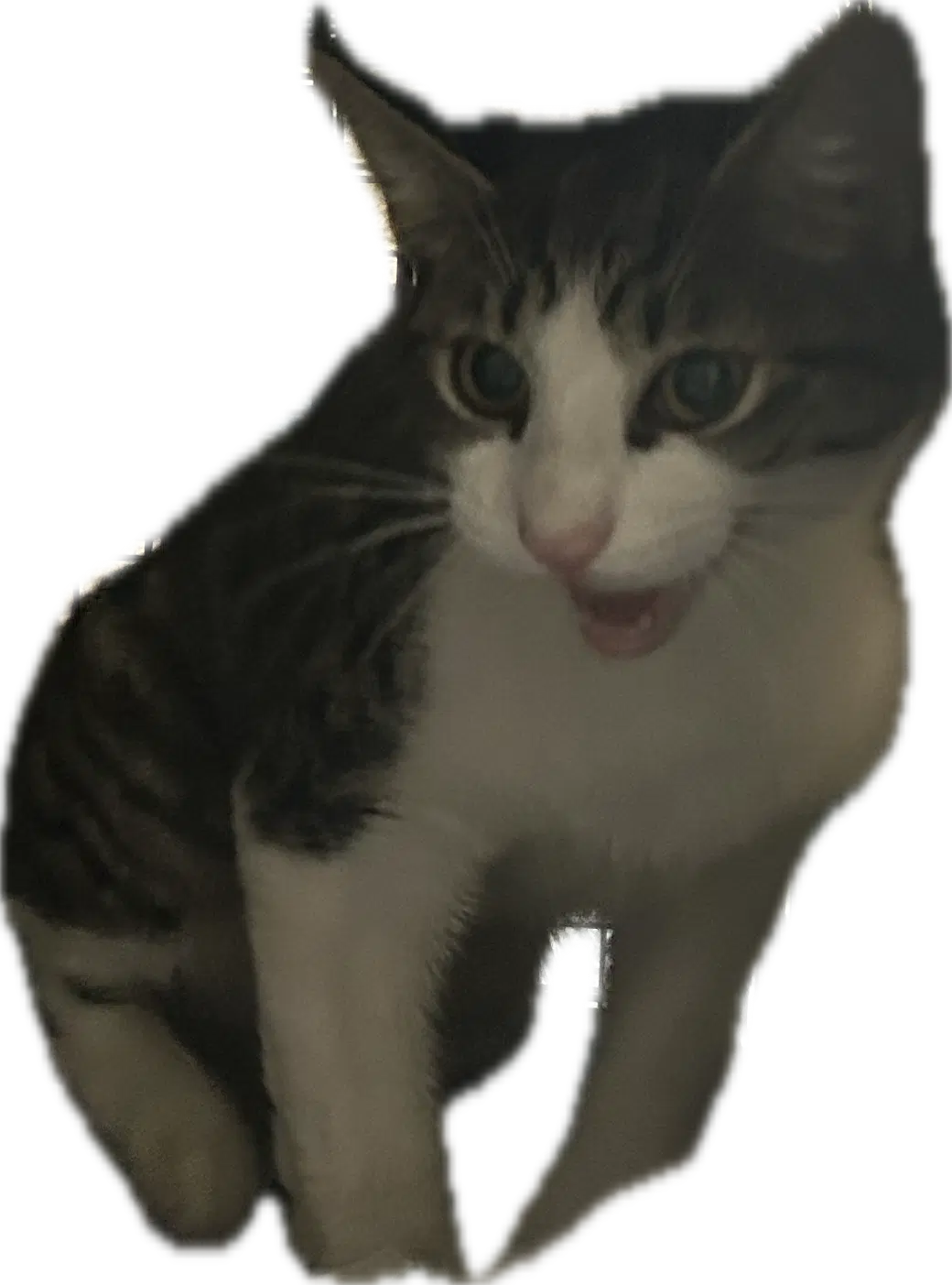 Squeak image 4