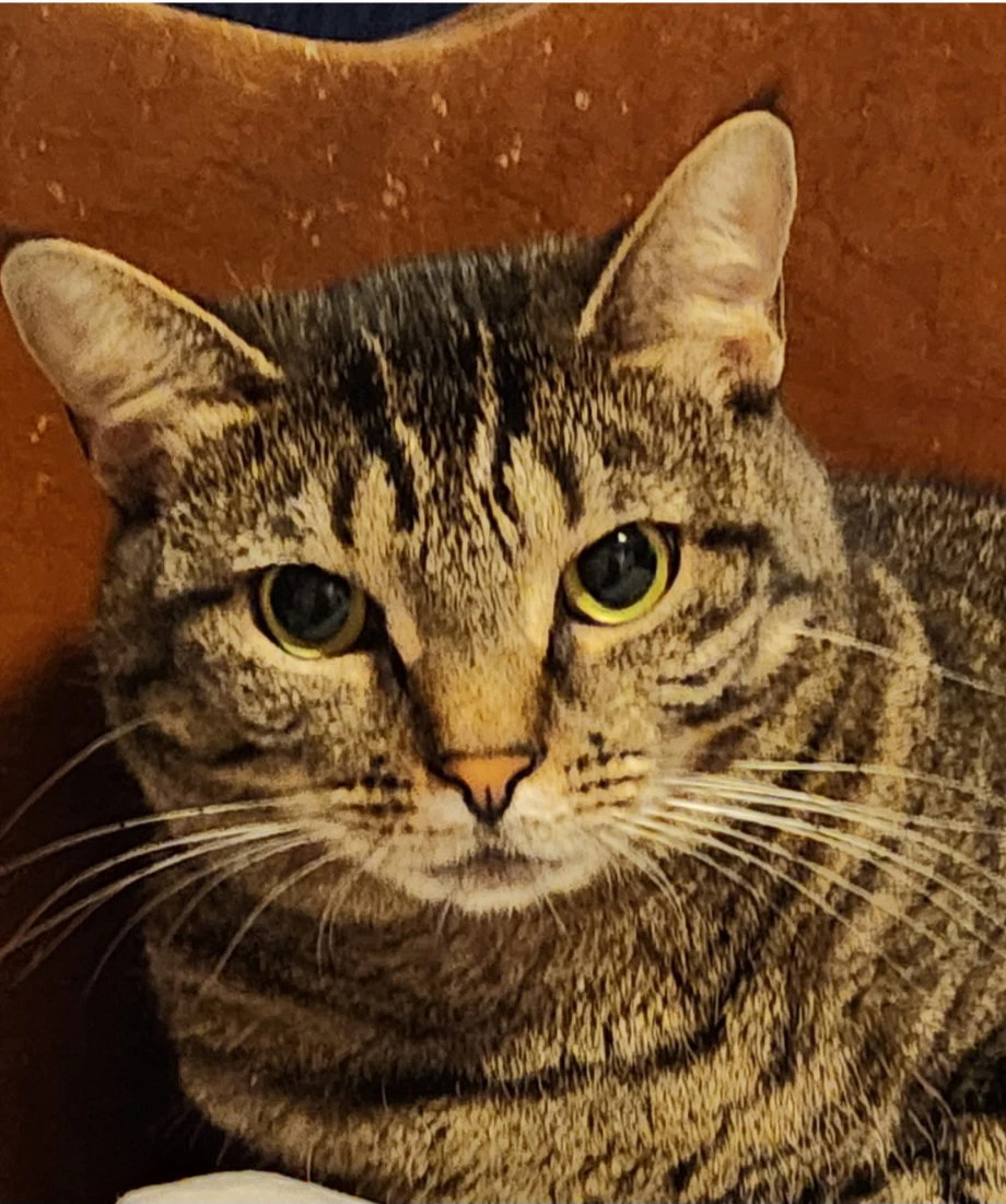 Izzy