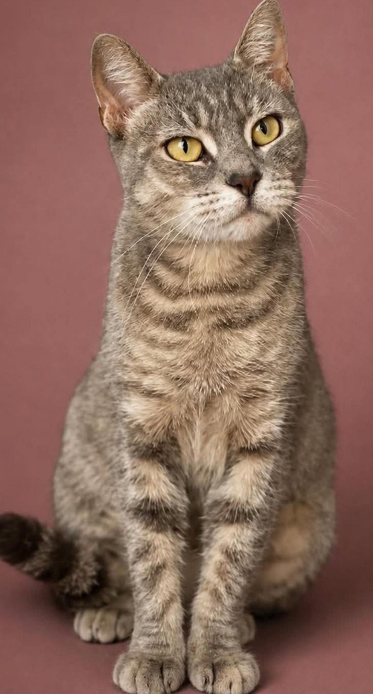 Dehlyla