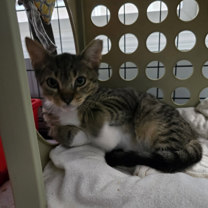 Axel, photo 4