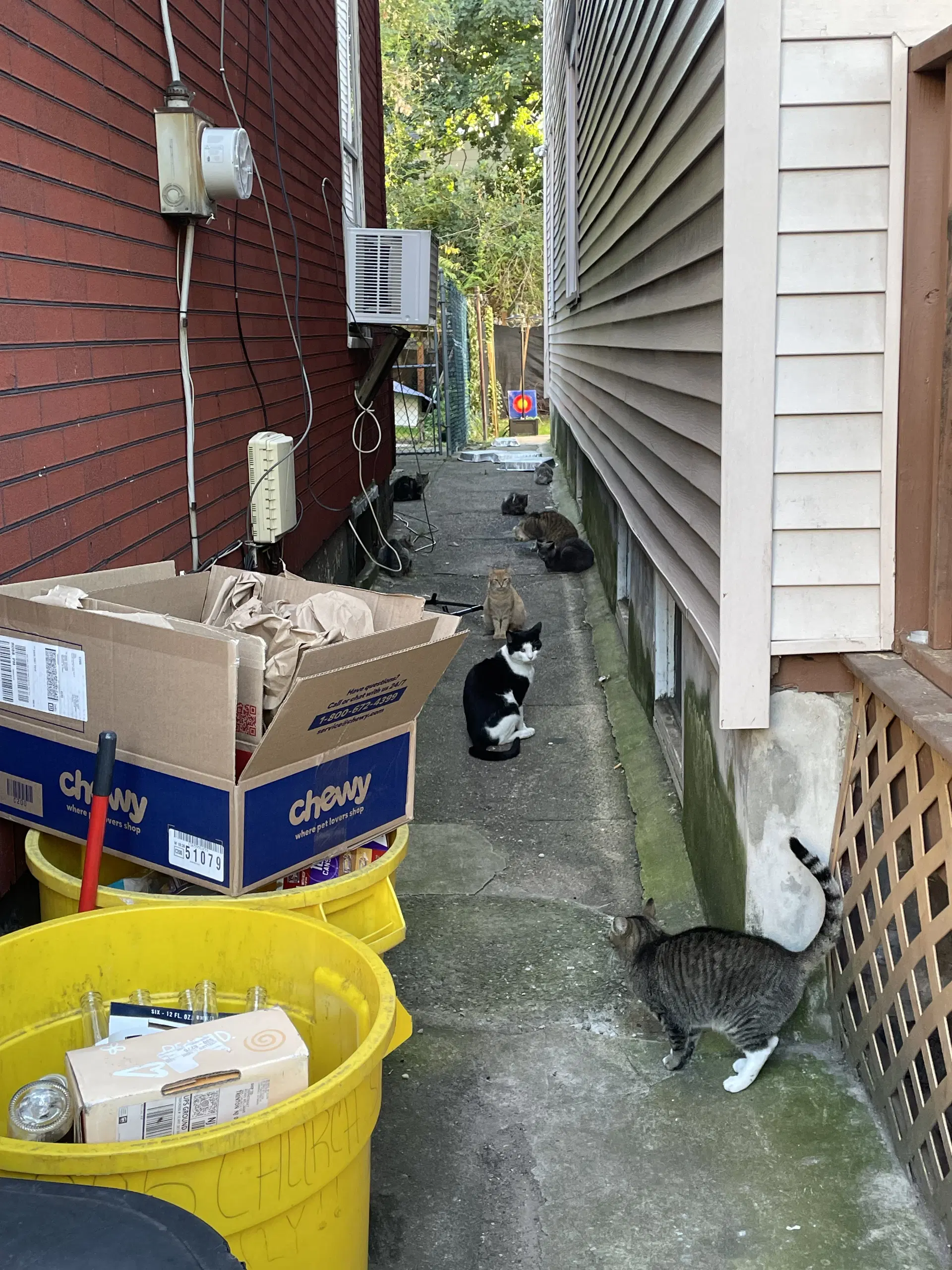 Clarendon Fiv image 3