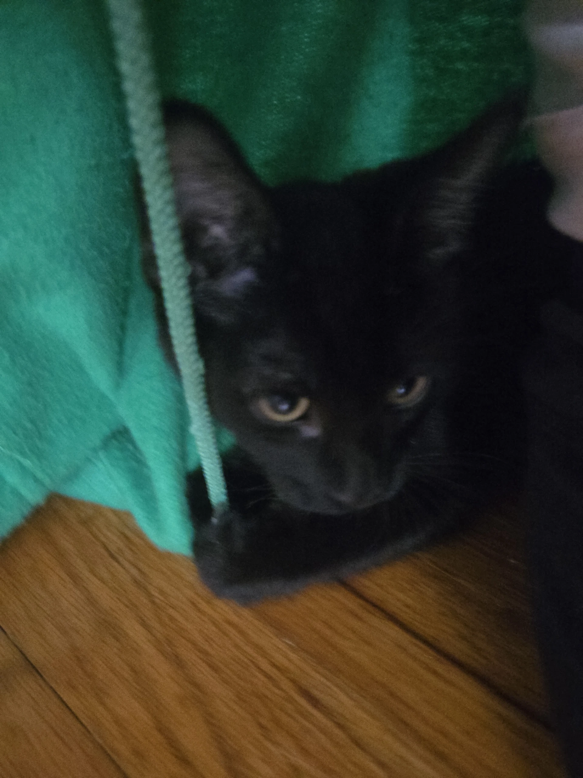 Stephen King