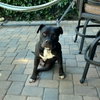 *ONYX - Photo 1