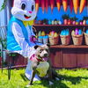 adoptable Dog in Long Beach, CA named *FUCHSIA
