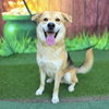 *OLIVER - Photo 1