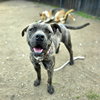 *WILLOW - Photo 1