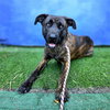 *CHAMP - Photo 1