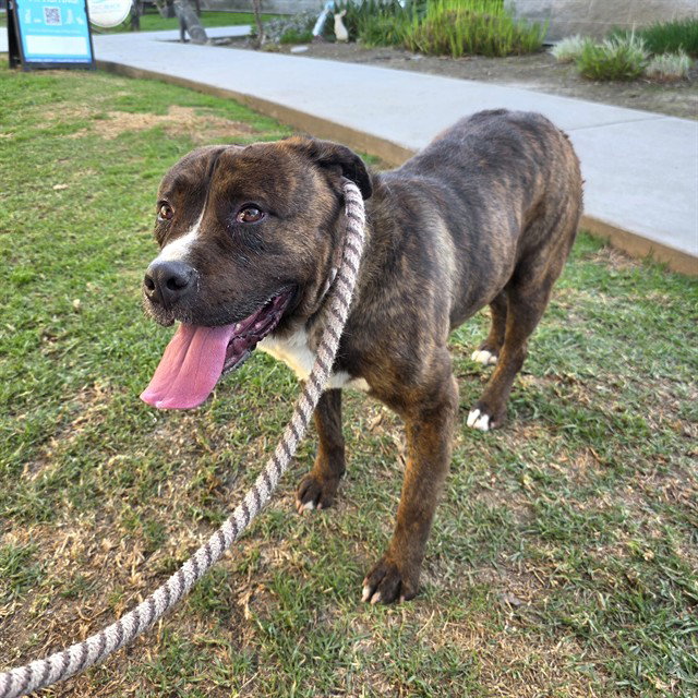 *ROSCO Image