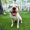 ZEUS - Photo 1