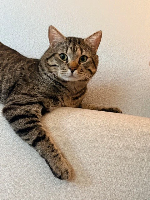 Jasper