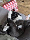 Dave - Photo 2